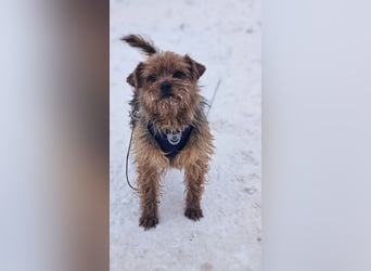 Jussis bisheriges Leben war schwer