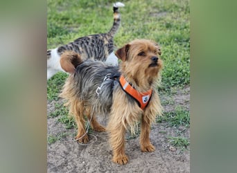 Jussis bisheriges Leben war schwer