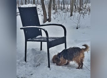 Jussis bisheriges Leben war schwer