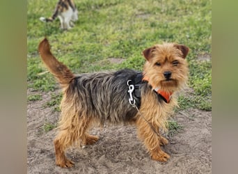 Jussis bisheriges Leben war schwer