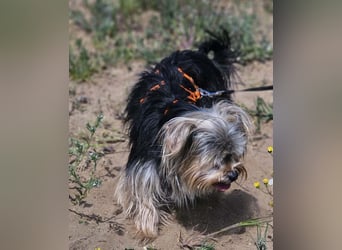 Esha ist neugierig und freundlich