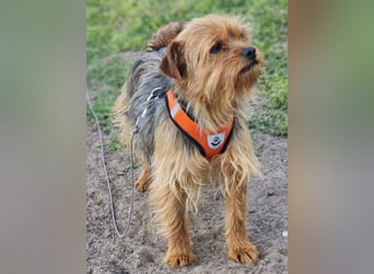 Jussis bisheriges Leben war schwer