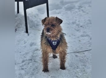 Jussis bisheriges Leben war schwer