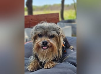 Esha ist neugierig und freundlich