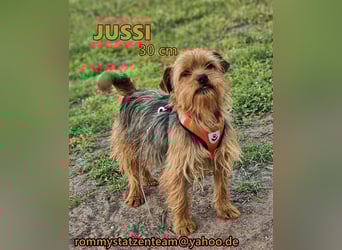 Jussis bisheriges Leben war schwer