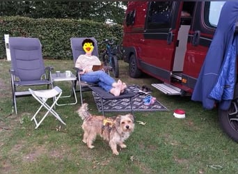 Leslie sucht aktive Menschen, die gerne was unternehmen (45739 Oer-Erkenschwick)