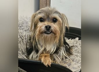 Esha ist neugierig und freundlich