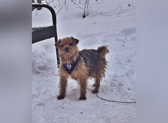 Jussis bisheriges Leben war schwer