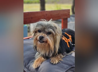 Esha ist neugierig und freundlich