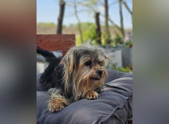 Esha ist neugierig und freundlich