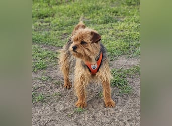 Jussis bisheriges Leben war schwer