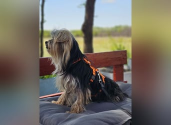 Esha ist neugierig und freundlich