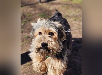 Sirid ist aktiv und neugierig