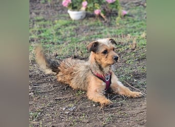 Neslin versucht alles richtig zu machen