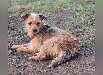 Neslin versucht alles richtig zu machen