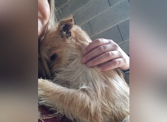 FLORI auf Pflege in D, 47574 Goch/NRW