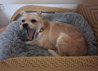 FLORI auf Pflege in D, 47574 Goch/NRW