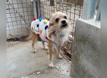 FLORI auf Pflege in D, 47574 Goch/NRW