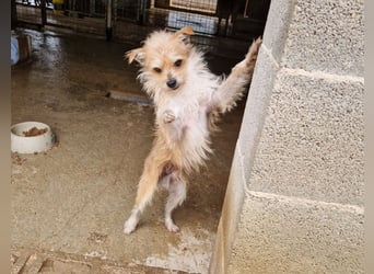 FLORI auf Pflege in D, 47574 Goch/NRW