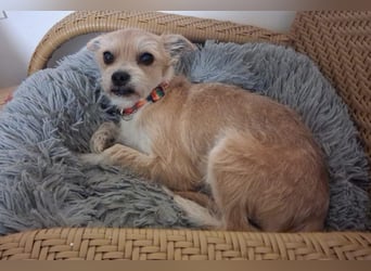 FLORI auf Pflege in D, 47574 Goch/NRW