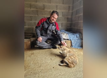 FLORI auf Pflege in D, 47574 Goch/NRW