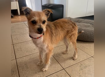 FLORI auf Pflege in D, 47574 Goch/NRW