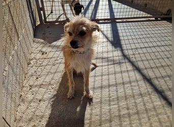 FLORI auf Pflege in D, 47574 Goch/NRW