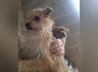 FLORI auf Pflege in D, 47574 Goch/NRW