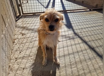 FLORI auf Pflege in D, 47574 Goch/NRW