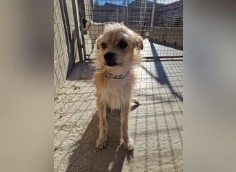 FLORI auf Pflege in D, 47574 Goch/NRW