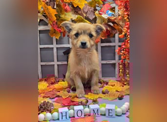 Max - kleiner Herzensbrecher!