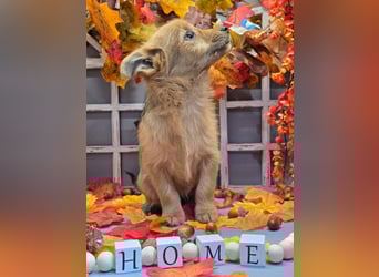 Max - kleiner Herzensbrecher!