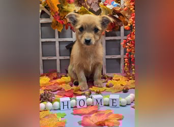 Max - kleiner Herzensbrecher!