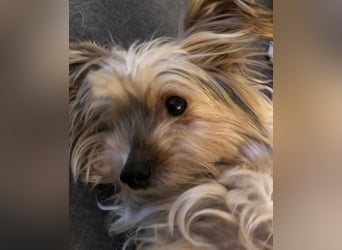 CHARLIE will geliebt werden