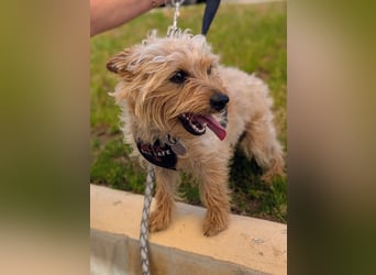 CHARLIE will geliebt werden