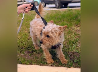 CHARLIE will geliebt werden