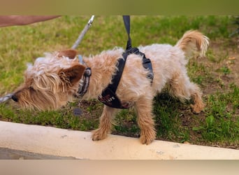 CHARLIE will geliebt werden