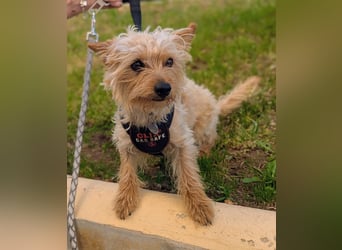 CHARLIE will geliebt werden