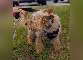 CHARLIE will geliebt werden