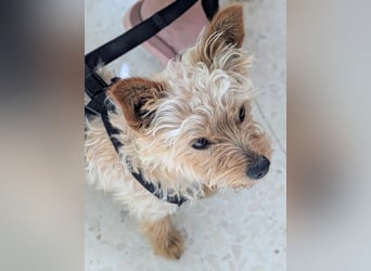 CHARLIE will geliebt werden