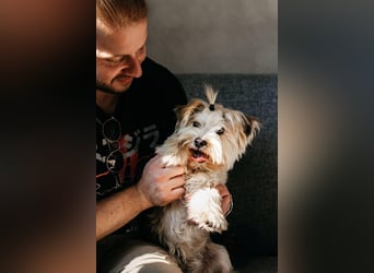 Lebensfroher Oskar sucht sein Zuhause