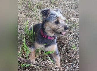 LOTTI sucht eine neue Familie