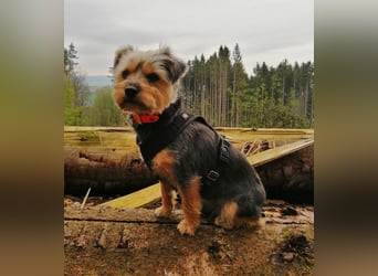LOTTI sucht eine neue Familie
