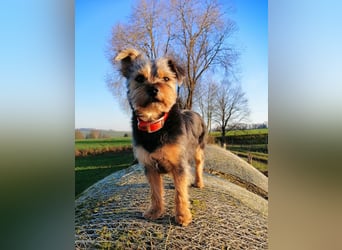 LOTTI sucht eine neue Familie