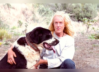 Devi – Stärke mit Sanftmut