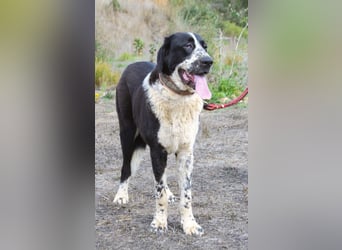 Devi – Stärke mit Sanftmut Devi – Stärke mit Sanftmut