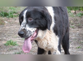 Devi – Stärke mit Sanftmut Devi – Stärke mit Sanftmut