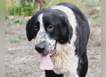 Devi – Stärke mit Sanftmut