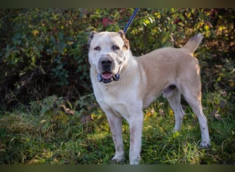 Tor: Großer Kerl mit weichem Herzen