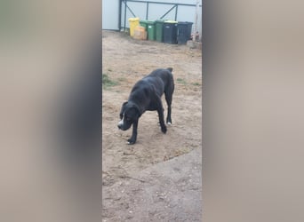 Graf Poldi sucht seine Menschen